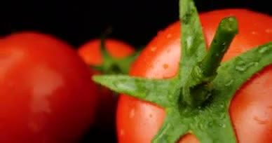 4K西红柿番茄水果新鲜蔬菜视频的预览图